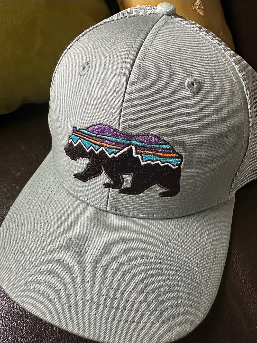 Patagonia Fitz Roy Bear Trucker Hat